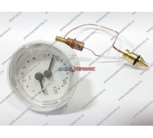 Термоманометр с капиляром 0-4 бар 0-120C для котлов Viessmann Vitopend 100-W WH1B (7825530)